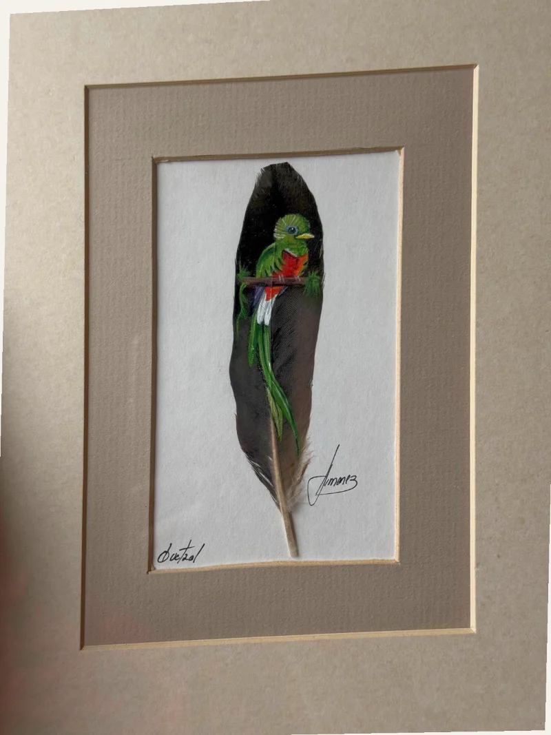 A real photo: a framed painted feather, shot at an angle so the frame looks slanted.